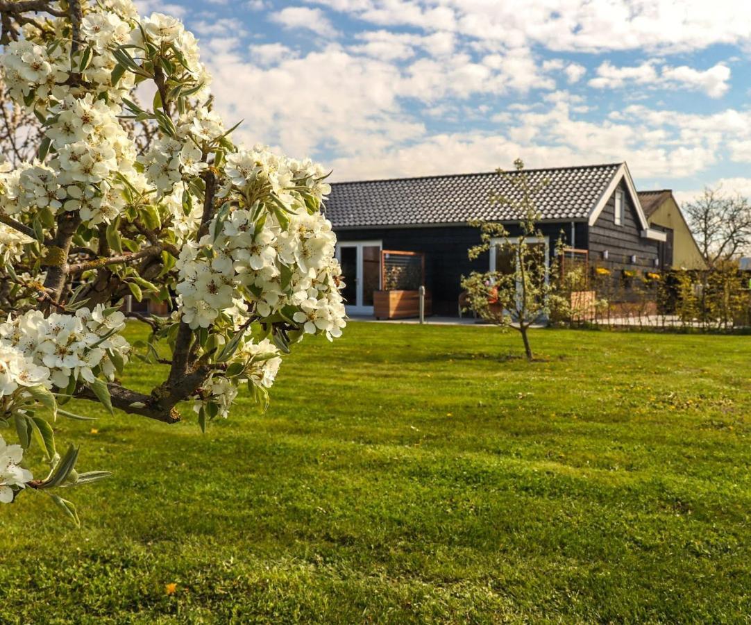 B&B Buutegeweun Sommelsdijk Exterior foto